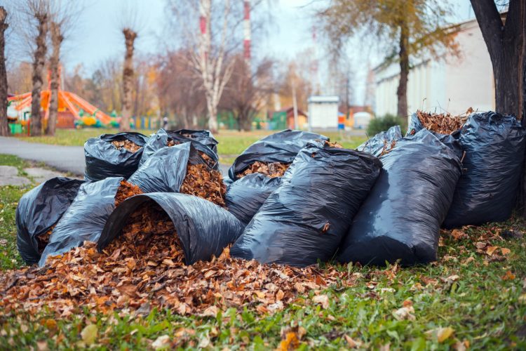 Garden Waste Clearance